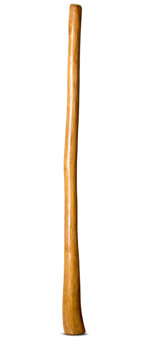 Gloss Finish Flared Didgeridoo (TW926)